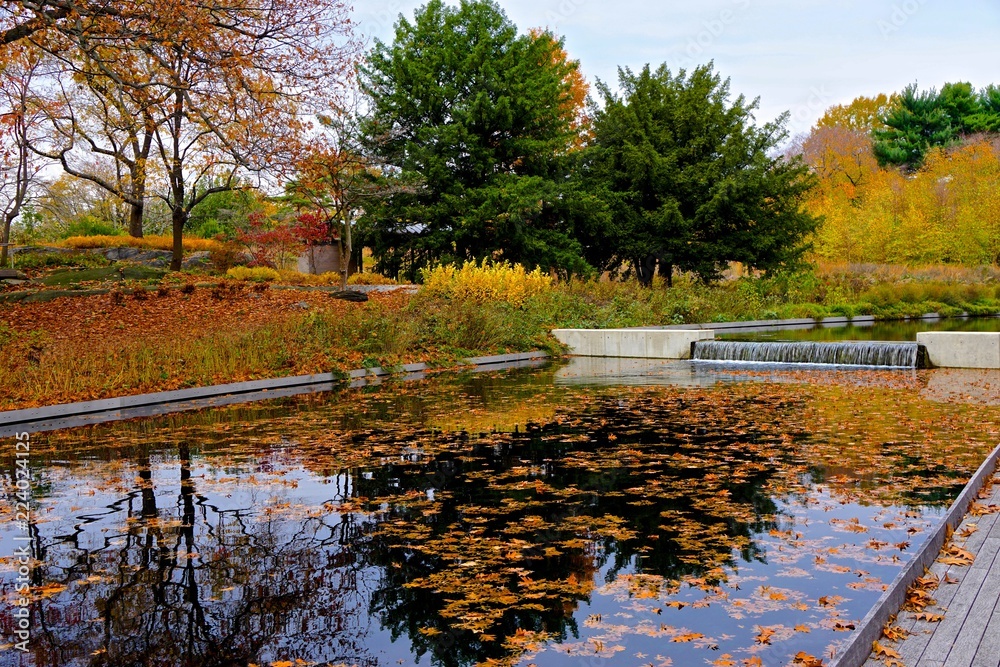 Φωτογραφία Bronx, New York, USA: Trees and autumn leaves reflected in an outdoor pool at the New York Botanical Garden
