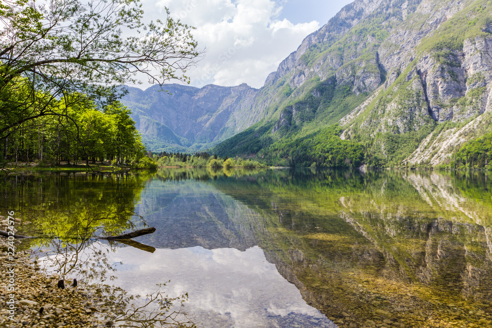 Naklejka premium mountain river on the bachground rocks, Slovenia, Europe