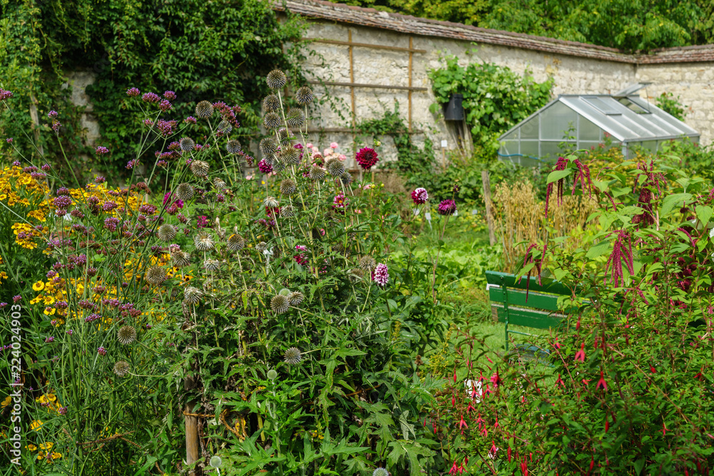 Sommer, Garten, Klostergarten, Inzigkofen, blühende Stauden an der