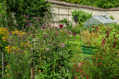 Sommer, Garten, Klostergarten, Inzigkofen, blühende Stauden an der Klostermauer mit Gewächshaus im Hintergrund photo