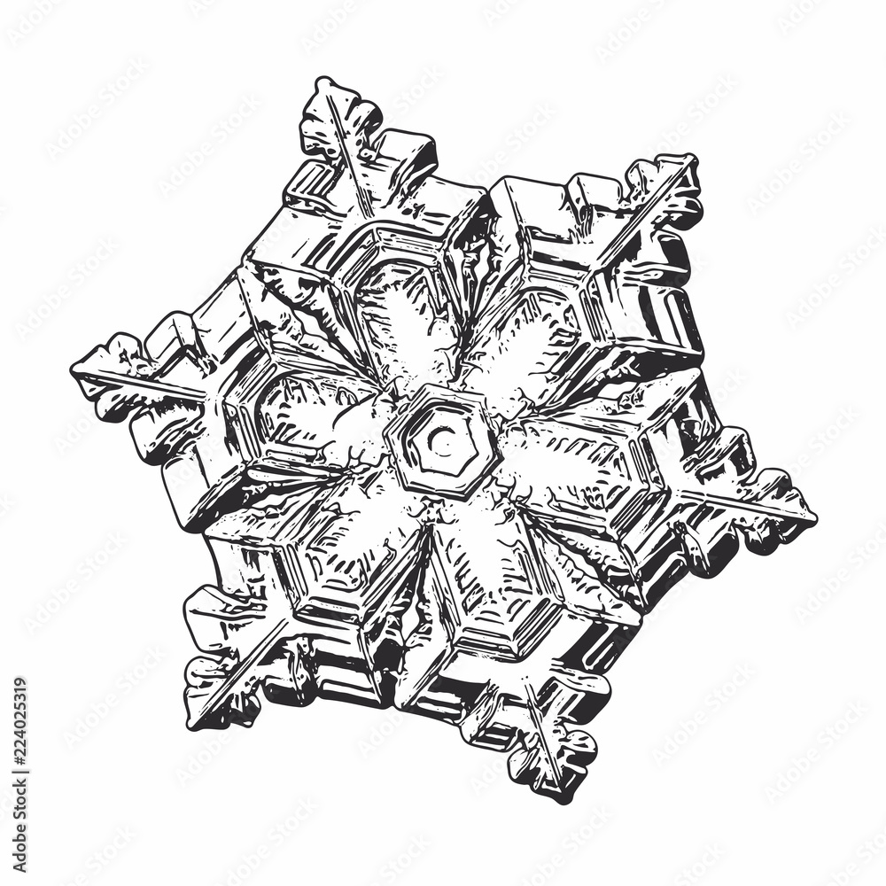 Snowflake isolated on white background. This vector illustration based on macro photo of real snow crystal: beautiful star plate with  short, simple arms, relief surface and complex inner pattern.