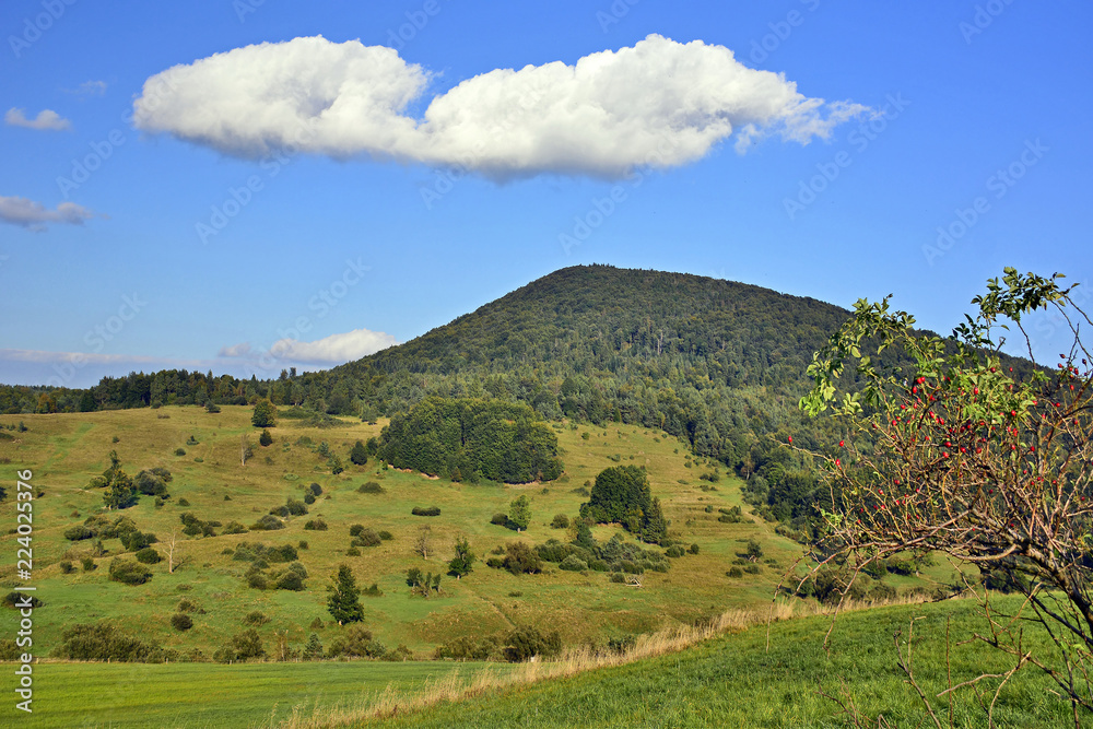 Mountain with green meadow and blue sky in autumn landscape, Low Beskids (Beskid Niski), Poland