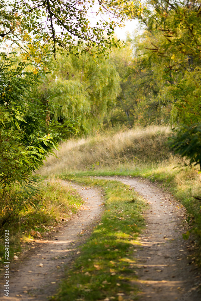 Autumn in the UK. Road in the sunny autumn forest in Cumbria Autumn in the UK. Road in the sunny autumn forest in Cumbria