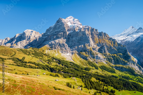 Gorgeous landscapes during the famous hiking trail from First to Grindelwald (Bernese Alps, Switzerland). You can have great views on Eiger, Monch and Jungfrau and the Bachalpsee along the way.
