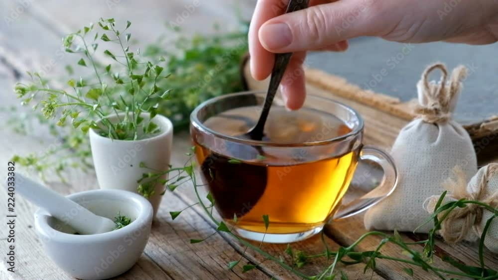 Herbal tea cup, bunch of shepherds purse, mortar of bursa pastoris medicinal herbs, old book. Herbal medicine.