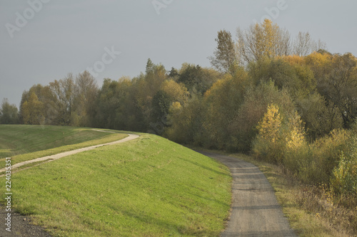 ścieżka na wale przeciwpowodziowym, droga i las