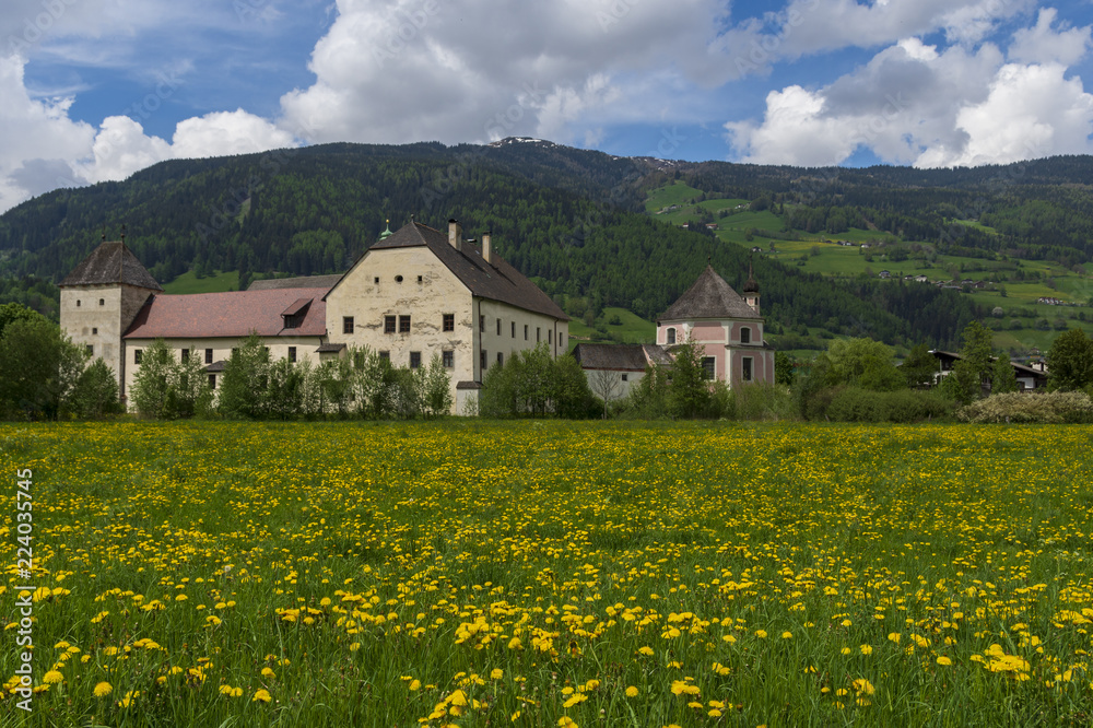 Field with dandelions and little village and mountains in background