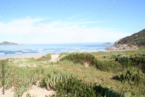 whisky bay  wilsons promontory national park  victoria  australia