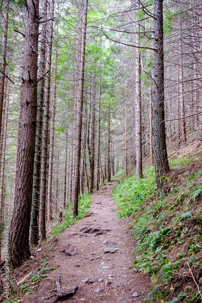 hiking trail in tatra mountains in Slovakia hiking trail in tatra mountains in Slovakia