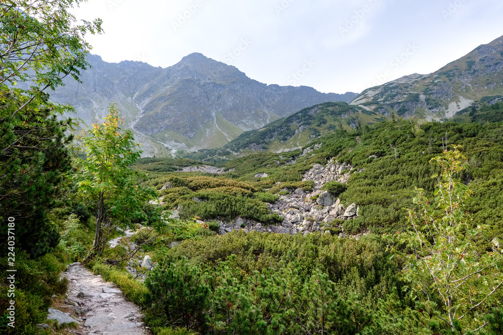 hiking trail in tatra mountains in Slovakia