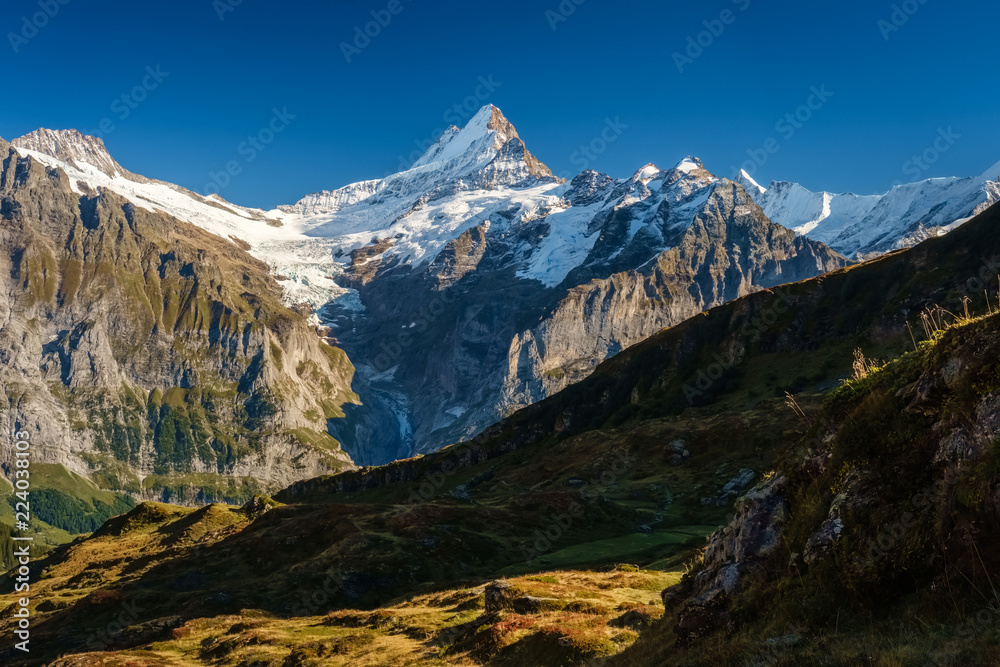 Sun is setting during the famous hiking trail from First to Grindelwald (Bernese Alps, Switzerland). You can have great views on Eiger, Monch and Jungfrau and the Bachalpsee along the way.