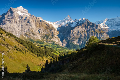 Sun is setting during the famous hiking trail from First to Grindelwald (Bernese Alps, Switzerland). You can have great views on Eiger, Monch and Jungfrau and the Bachalpsee along the way.