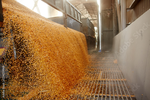 Silo bag in a farm with fence and field. Rural, countryside image, agricultural industry scene. photo