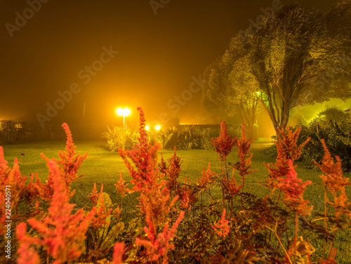 very foggy night at swedish garden at countryside with soft dim late summer autumn start photo