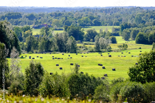 rolls of hay laying in distant field
