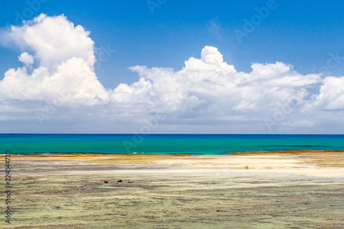 A View from Gazebo of Japaratinga Beach During Low Tide photo