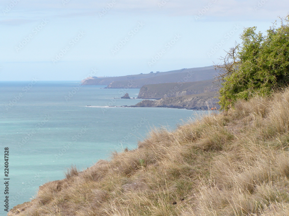 Obraz premium OLYMPUS DIGITAL CAMERA