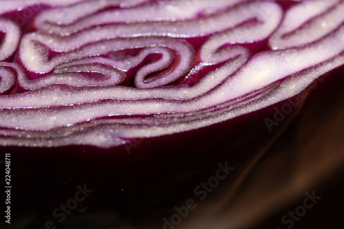 closeup on split red cabbage 