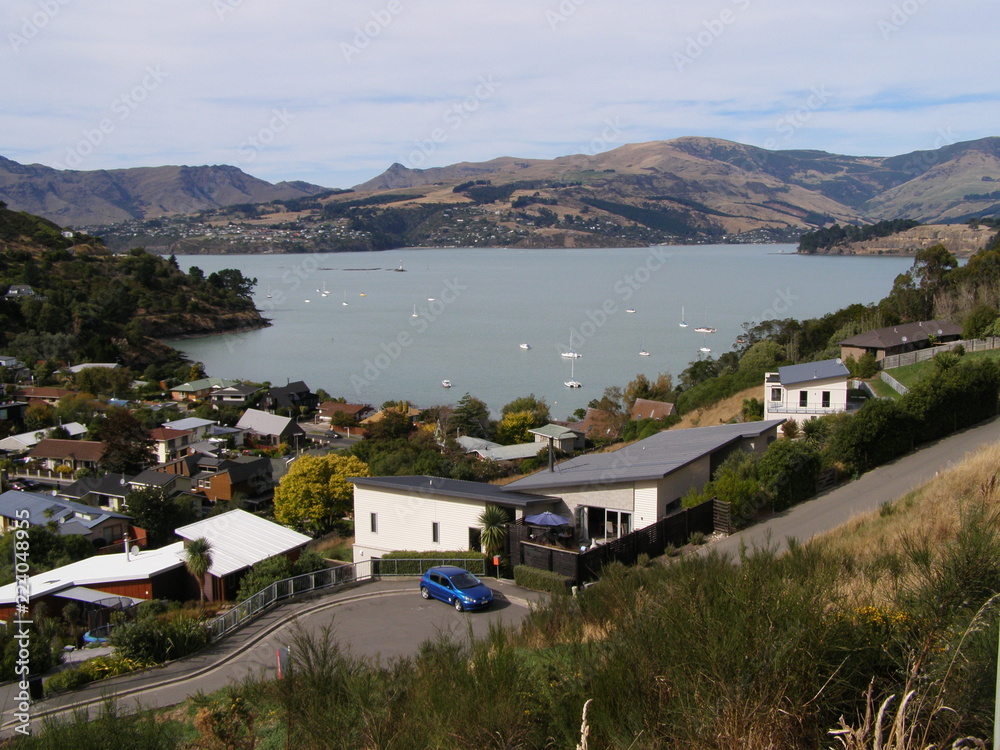 Fototapeta premium OLYMPUS DIGITAL CAMERA