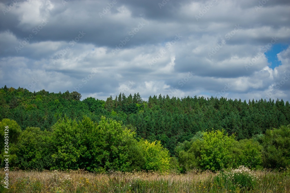 summer rural landscape