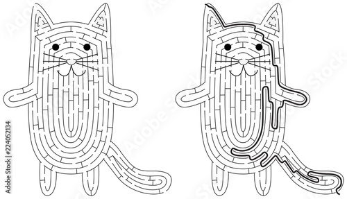 Cat maze