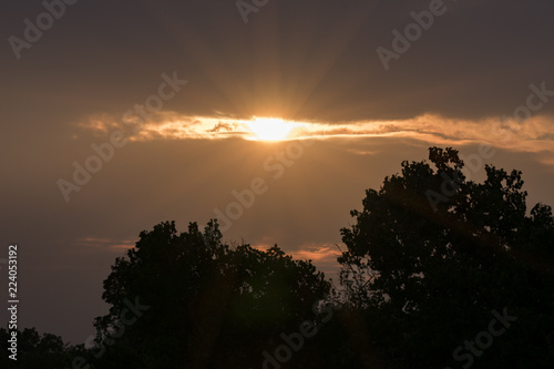 Golden Sunset