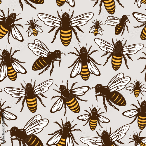 Vector honey bee seamless pattern or background