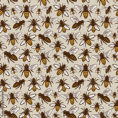 Vector honey bee seamless pattern or background