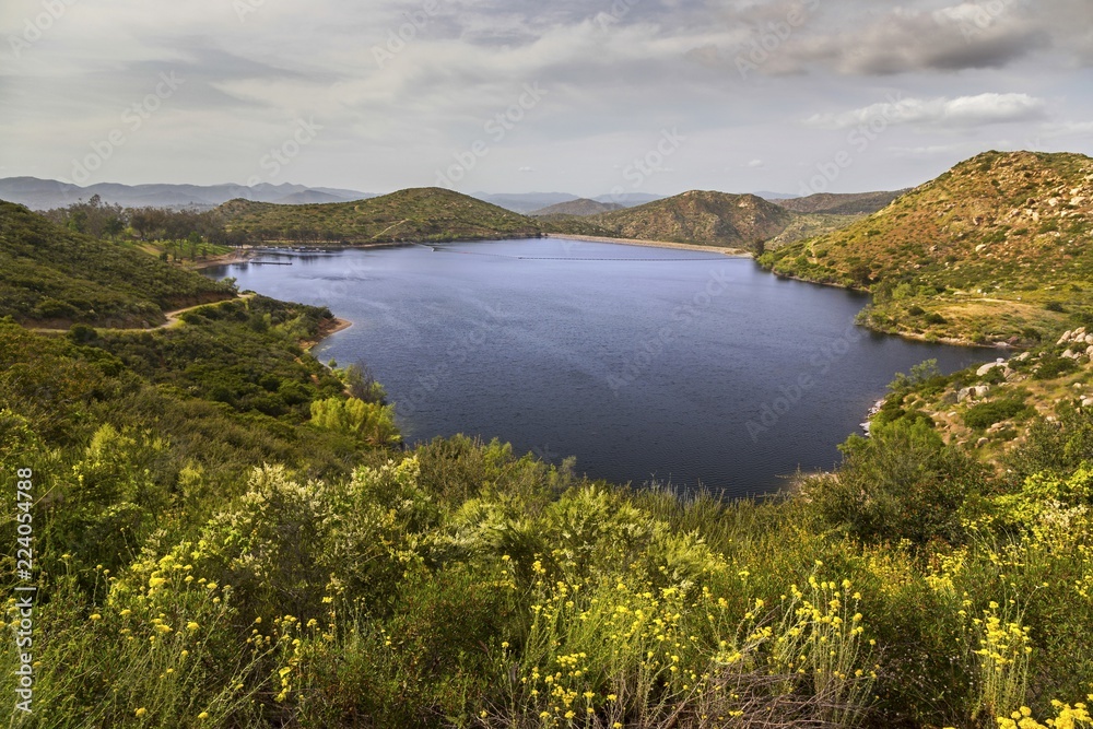 Lake Poway scenic landscape view with abundance of spring wildflowers in San Diego County North Inland