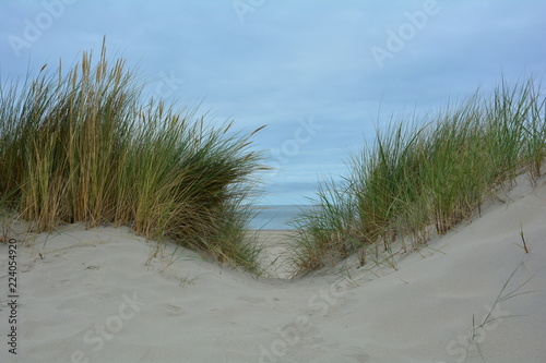 Blick durch die Sanddünen zur Nordsee mit viel Dünengras