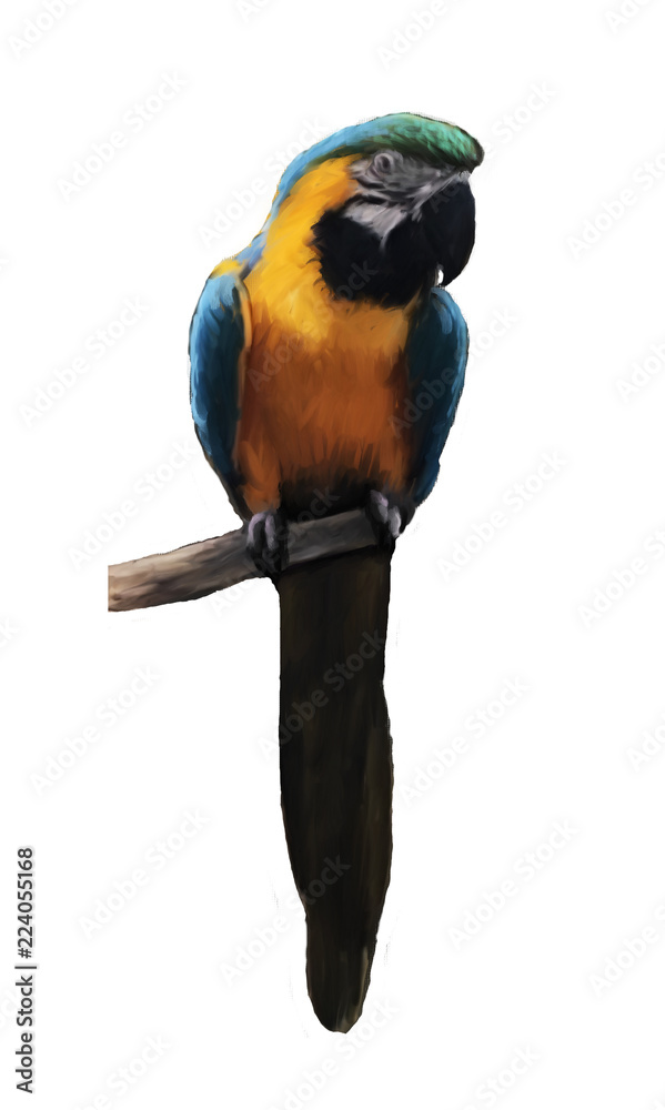 Blur Parrot