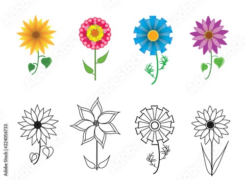 Set of colorful flowers. Vector collection symbols of garden and meadow flowers.