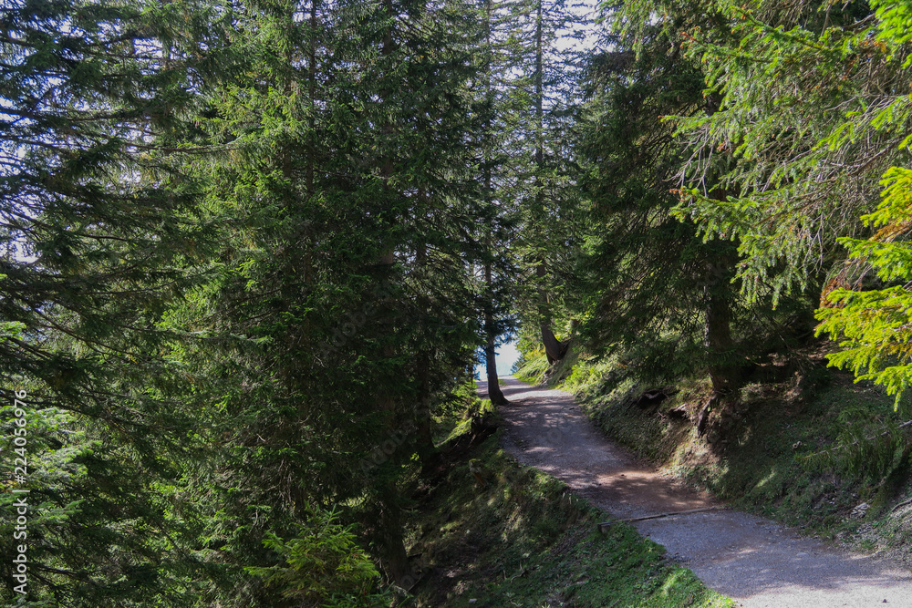 Obraz premium Hiking trail in Switzerland (mountains)
