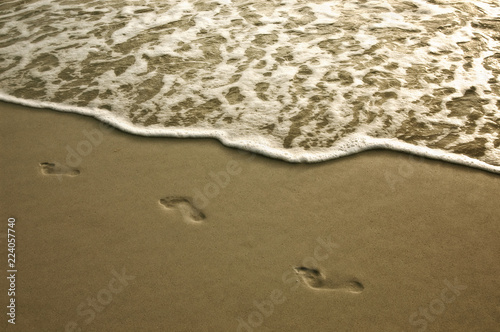 Wallpaper Mural Footprints in the sand at low tide along Barefoot Beach, Florida. Torontodigital.ca