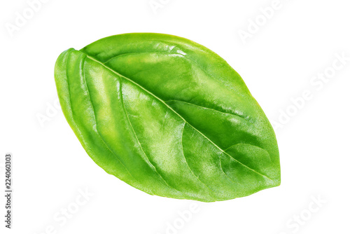 Leaf of basil isolated