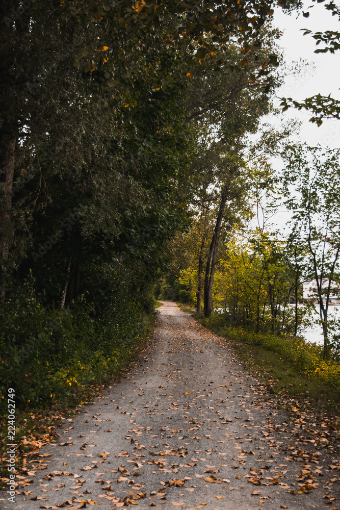 autumn trail autumn trail