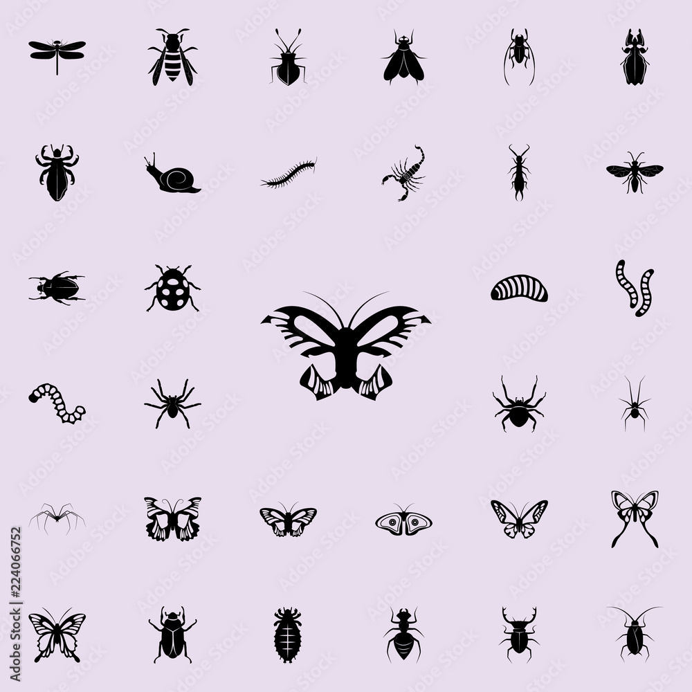 butterfly icon. insect icons universal set for web and mobile