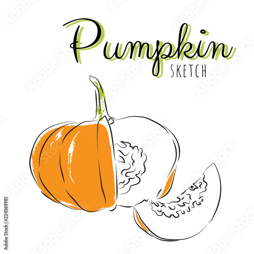 Sketch pumpkins. Vector paint hand drawn composition with squash in cartoon style. Isolated on white background.