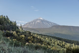 View of a natural landscape around the Teide volcano