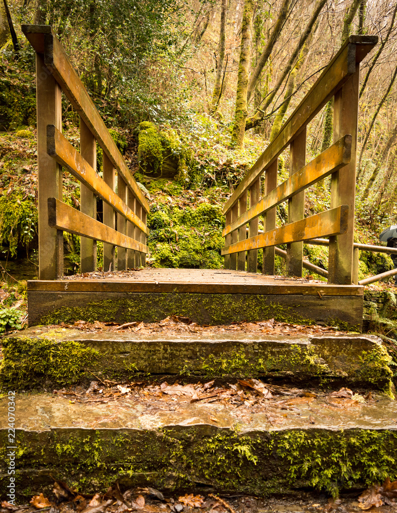 Beautiful view of a small wooden bridge over a river in the woods in the mountains of Asturias, Spain.