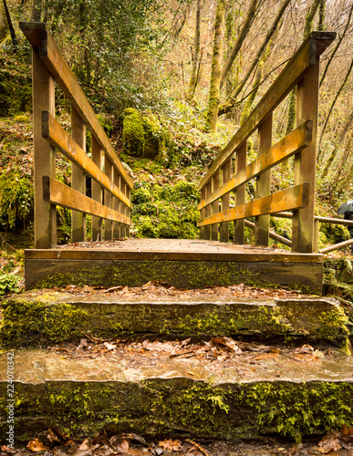 Beautiful view of a small wooden bridge over a river in the woods in the mountains of Asturias  Spain.