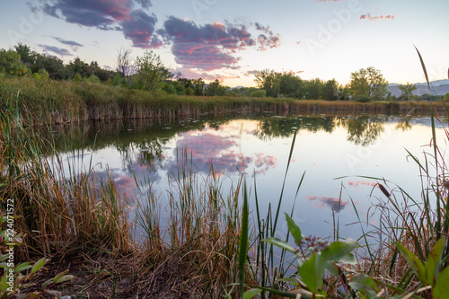 Sunset in the Wheat Ridge Green Belt, along the Clear Creek Trail, Wheat Ridge Colorado, USA.