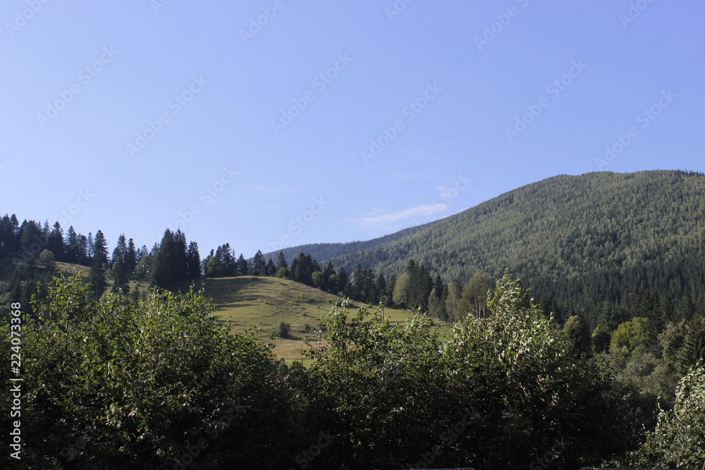 Naklejka premium landscape in the mountains
