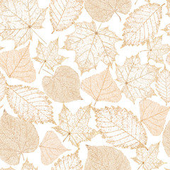 Sierkussen Bladnerven patronen Gouden doorzichtige skeletbladeren elegant patroon  © Olga