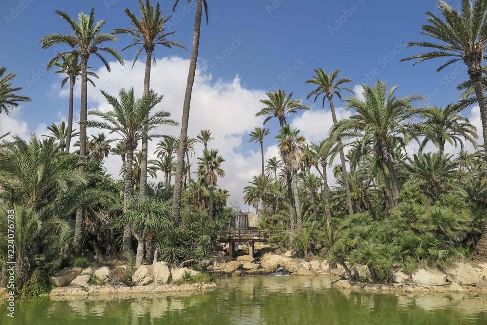 landscape inside El palmeral park landscape inside El palmeral park