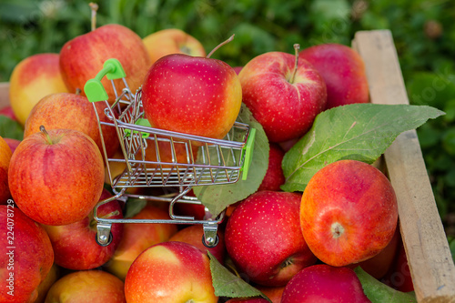 Close-up, selective focus red apple on a mini shopping cart on a red-apple background.