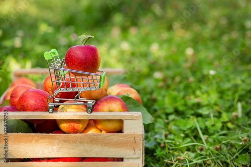 Close-up, selective focus red apple on a mini shopping cart on a red-apple background.