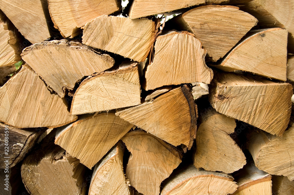 Freshly Cut Firewood Logs Corded in Autumn Freshly Cut Firewood Logs Corded in Autumn