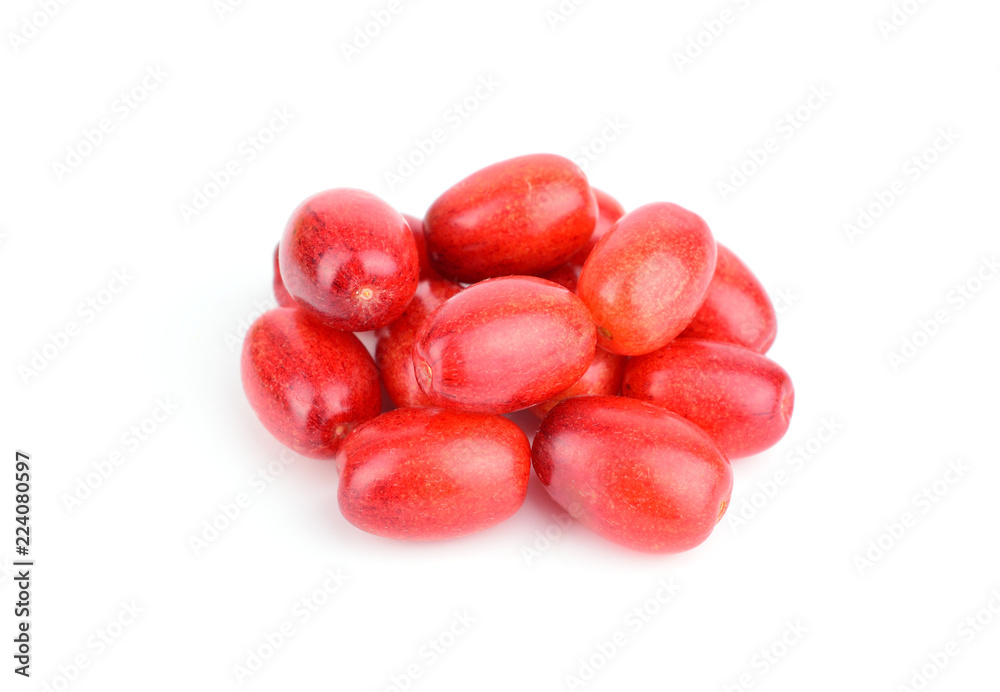 Cornus Culinary and Medicinal Herb Plant. Also Cornelian Cherry, European Cornel or Cornelian Cherry Dogwood. Isolated on White Background. Cornus Culinary and Medicinal Herb Plant. Also Cornelian Cherry, European Cornel or Cornelian Cherry Dogwood. Isolated on White Background.