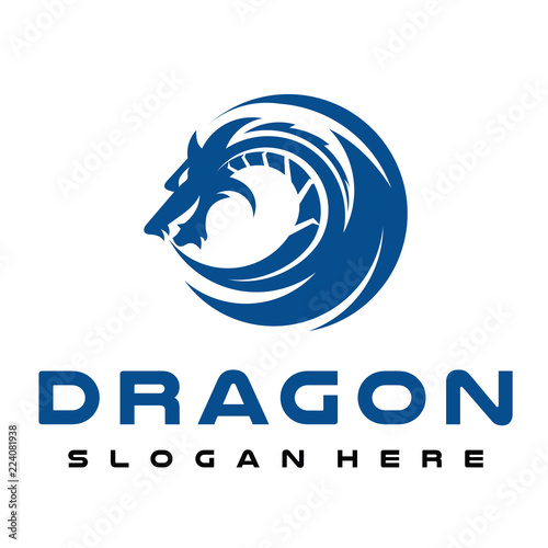Dragon Logo Design Inspiration Vector
